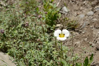 DSC_3238 (Large).JPG